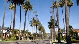 Encuentra vuelos baratos desde Venezuela $[,, preposition:'to ']$[,, article:'to ']$[,, place:'to']